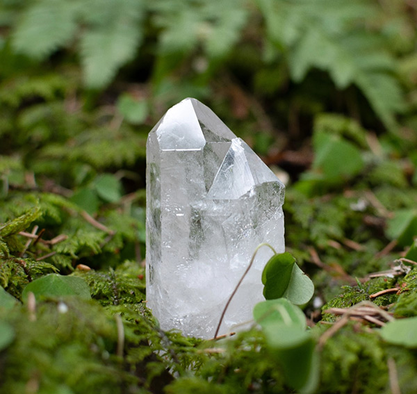 Univers de la boutique de minéraux Cristal Forest