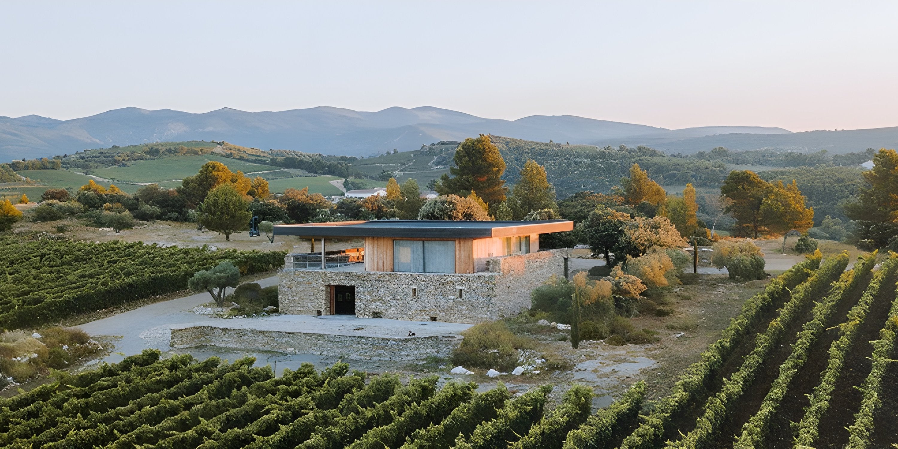 Vignoble Gérard Bertrand et paysage de domaine viticole