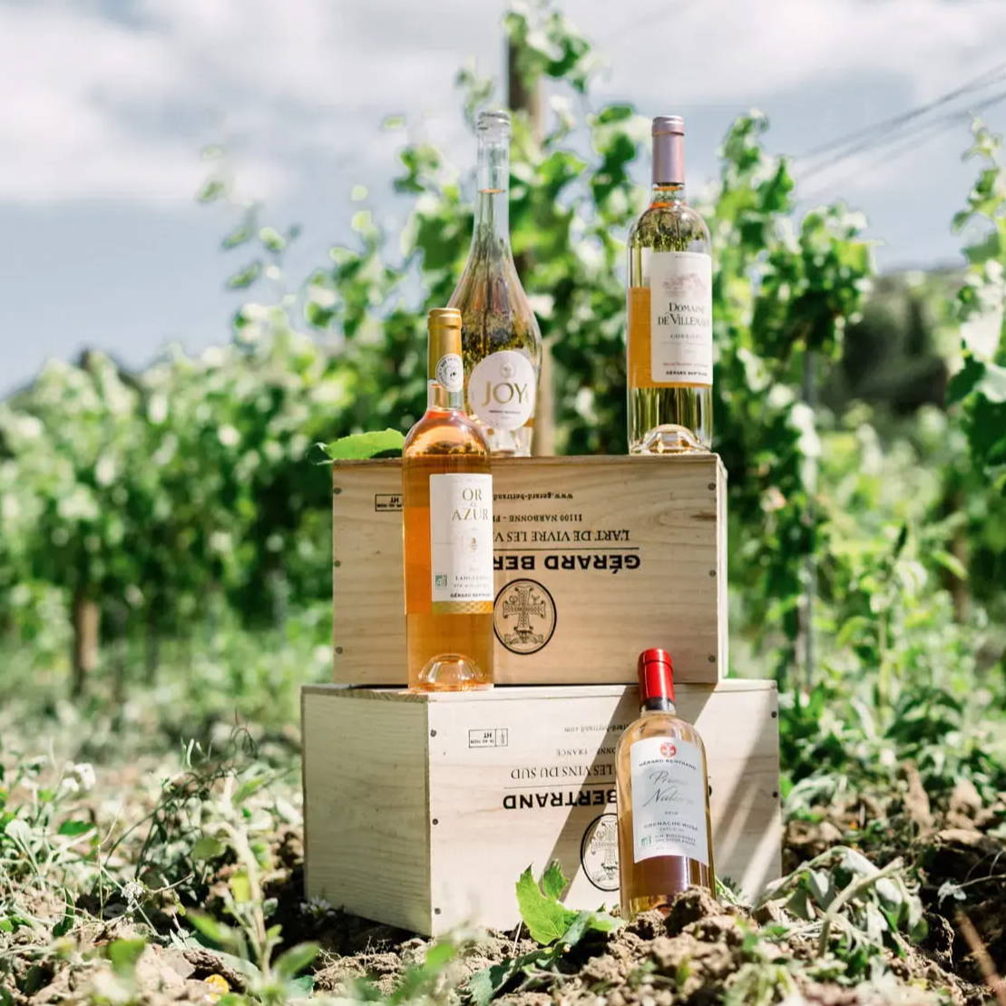 Sélection de bouteilles Gérard Bertrand présentée dans les vignes